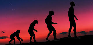 The Theory of Evolution
